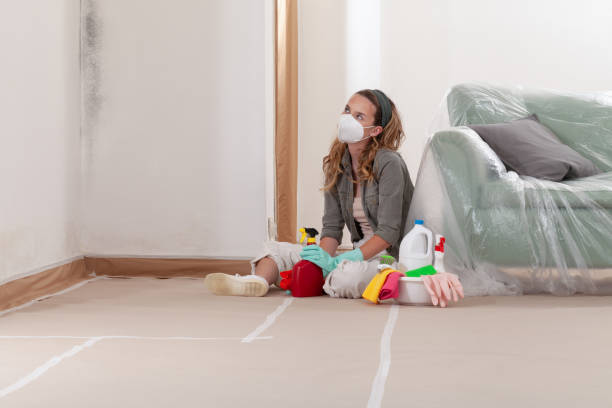 Reliable Black Mold Removal contractor in Pentwater, MI by WQB Mold Removal